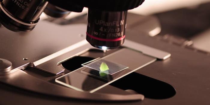 NITs Cutoff for B.Tech Biotechnology