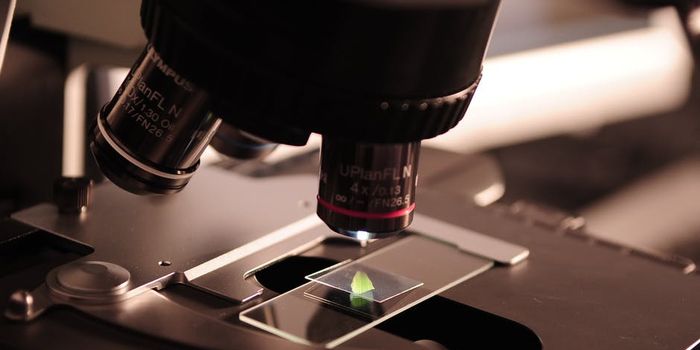 IITs Cutoff for B.Tech Biotechnology