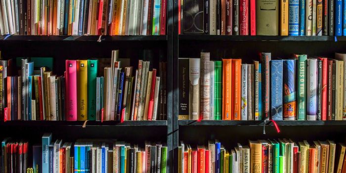 Uni-GAUGE Syllabus 2018