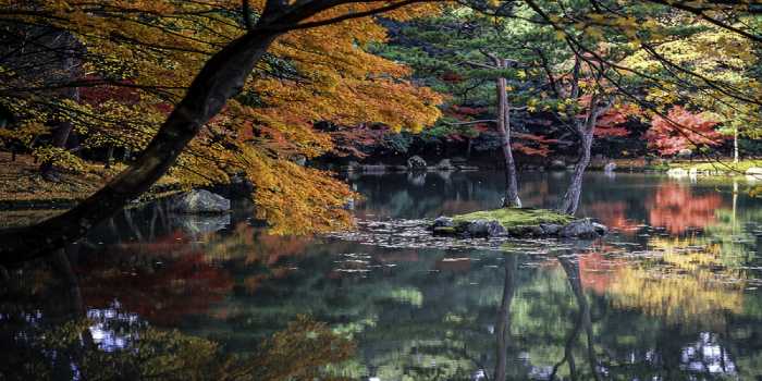 Applications open for The Japanese Government Scholarship 2019