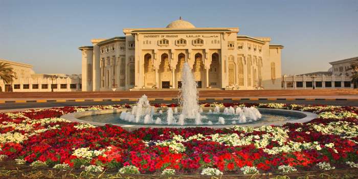 Study in UAE: Know top universities, courses and admission cycle
