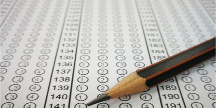 NTSE Kerala Answer Key 2019