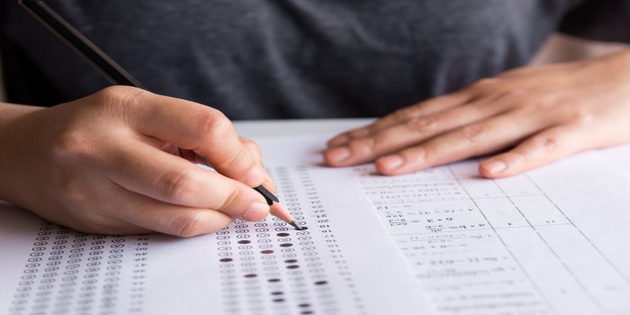 Image result for UPSC ESE 2019