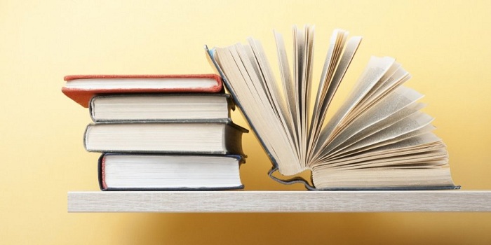 NSO Sample Papers