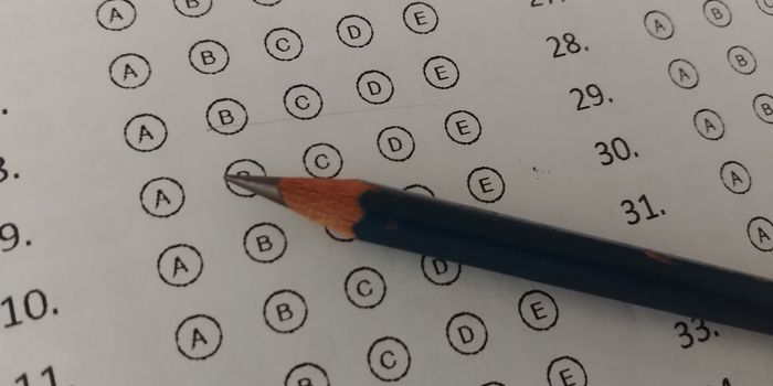 NTSE Chhattisgarh Answer Key 2019