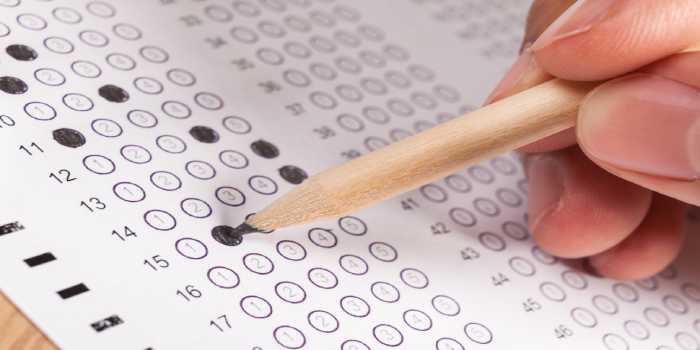 UPTET Answer Key 2019