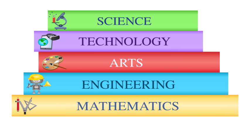 AMU Courses 2019