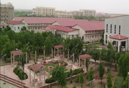 Central University of Rajasthan Introduces M.Sc Digital Society Degree Programme in a First