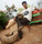Hemanth Rao