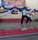 SanJay