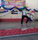 SanJay
