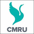 CMR University School of Management