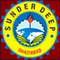 St Peters Institute of Pharmaceutical Sciences, Hanamkonda
