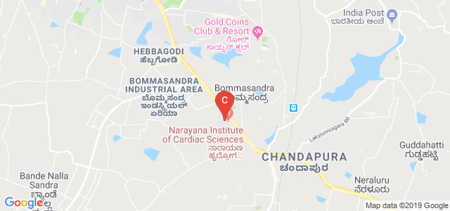 Bundelkhand University, Jhansi