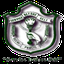 DPS International