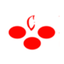 Pushpdeep International School