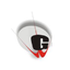 G D Goenka Public School