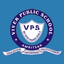 Vivek public school