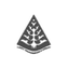Silver Oak School