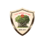 Green Valley English School