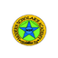 Modern Scholars Academy
