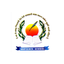 Sapience School