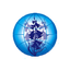 Blue Bells School International