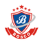 Bosco Public School