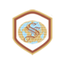 Shayona International School
