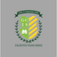 Global City International School
