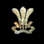 The Rashtriya Indian Military College