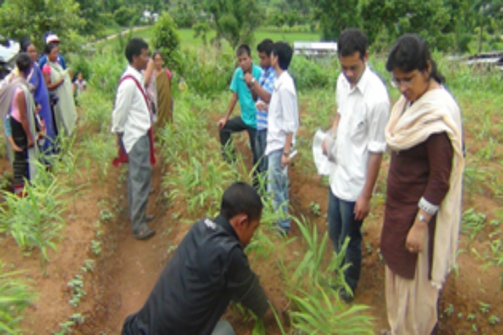 Central Agricultural University, Imphal Central-Agricultural-University-Imphal13