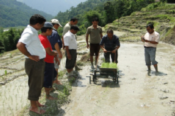 Central Agricultural University, Imphal Central-Agricultural-University-Imphal8