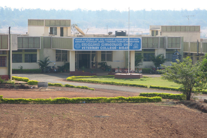 Karnataka Veterinary, Animal and Fisheries Sciences University, Bidar KVAFSU-5