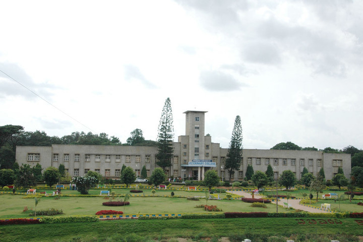 Karnataka Veterinary, Animal and Fisheries Sciences University, Bidar KVAFSU-6
