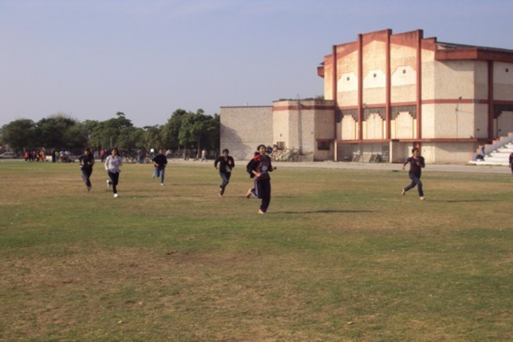Homeopathy University, Jaipur Homeopathy-University-Jaipur7