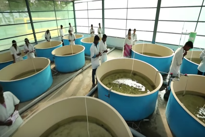 Tamil Nadu Fisheries University, Nagapattinam Tamil-Nadu-Fisheries-University-Nagapattinam6