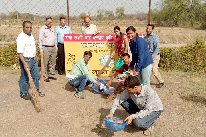 Rani Lakshmi Bai Central Agricultural University Jhansi Cleanness programe at Rani Lakshmi Bai Central Agricultural University Jhansi