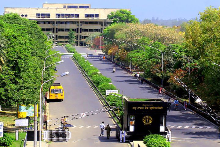 Guru Nanak Dev University, Amritsar GNDUA16