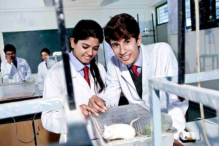 Anand College of Pharmacy, Agra Anand-College-of-Pharmacy-Agra-lab8