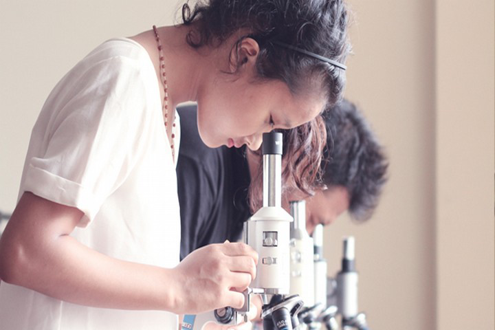 Assam Don Bosco University, Guwahati Assam-Don-Bosco-University-Guwahati16