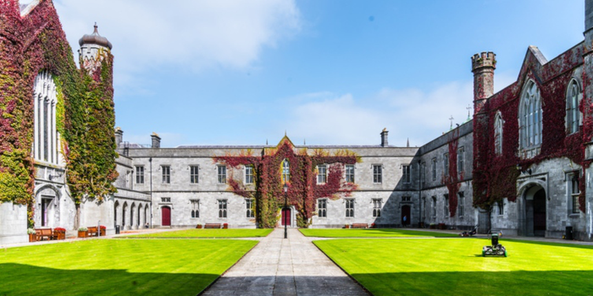 Top UG Courses to Study in Ireland