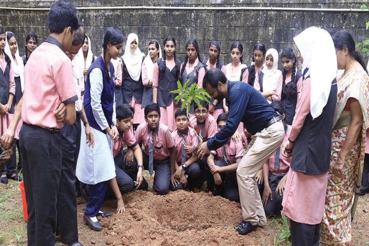 Thangal Kunju Musaliar Centenary Public School-Plantation