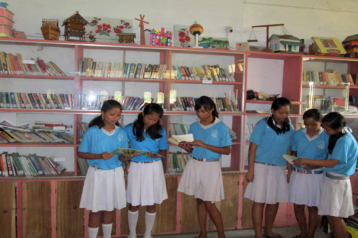 St PeterS National Academy-Library