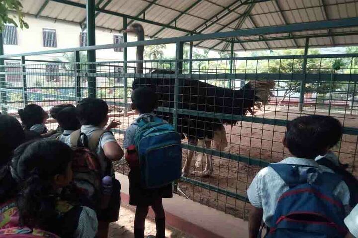 Toch Residential Public School-Excursion