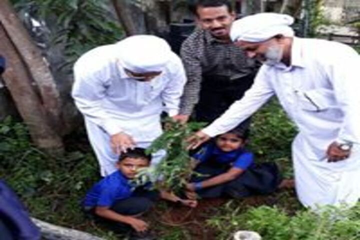 Umariyya Public School - Tree Plantation