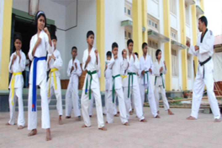 V N S S S N Trusts Central School - karate