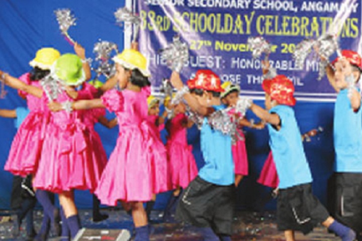 Vidhyadhiraja Vidya Bhavan Senior Secondary School-Others dance