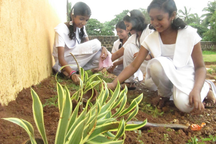 Vidyatmika Public School-Tree Planting