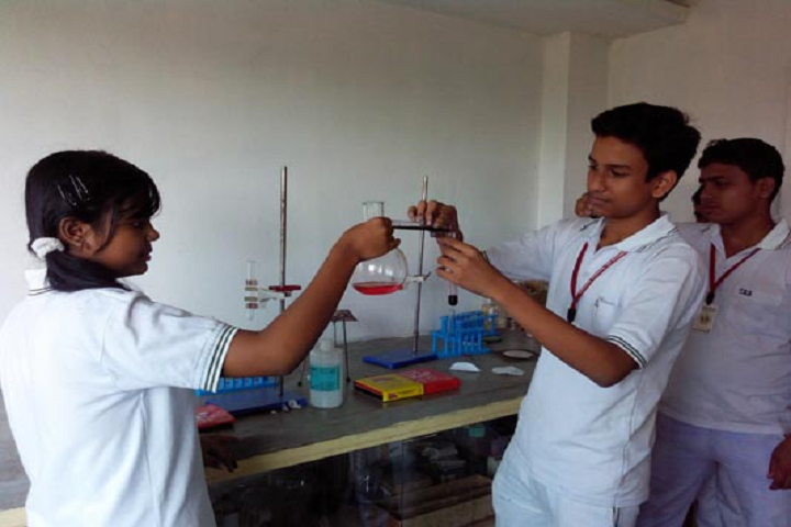 Tagore School Of Studies- Chemistry Lab